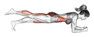 تمرين 3 أطراف بلانك The 3 Limb Plank