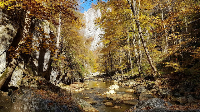 Cheile Vârghișului - Traseu în Munții Perșani, județul Harghita