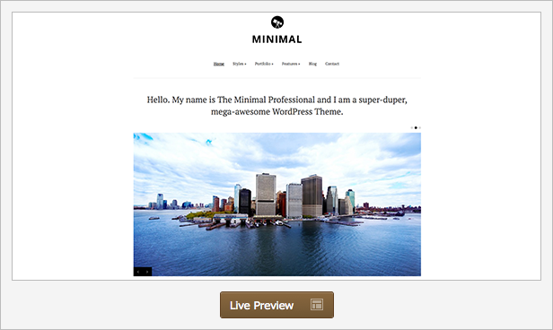Professional Minimal WordPress Theme