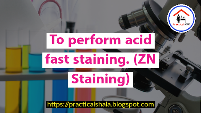 To perform acid fast staining