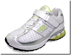 shoe