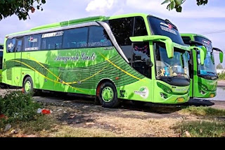 Sewa Bus Pariwisata