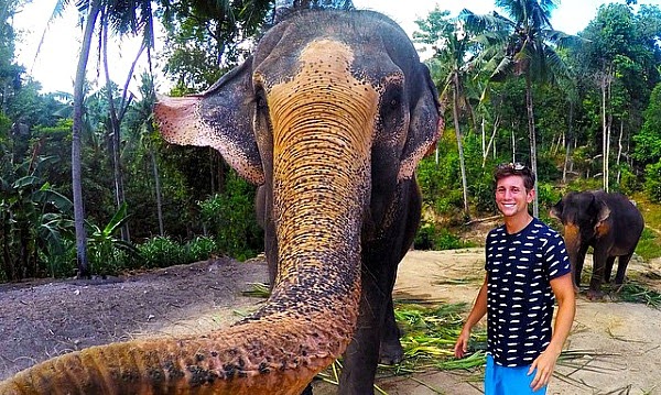 Elephant takes selfie with a GoPro with Tourist Christian Leblanc in Thailand on being gifted with a banana for an epic Elphie via geniushowto.blogspot.com incredibble wildlife captures