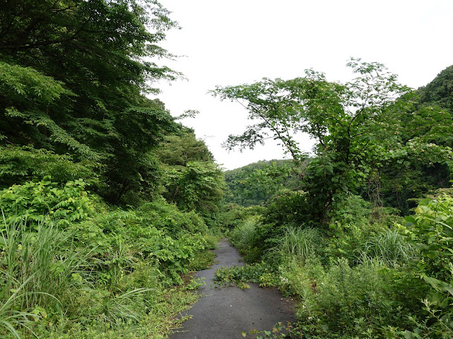 鳥取県西伯郡伯耆町福兼　大江川管理用道路