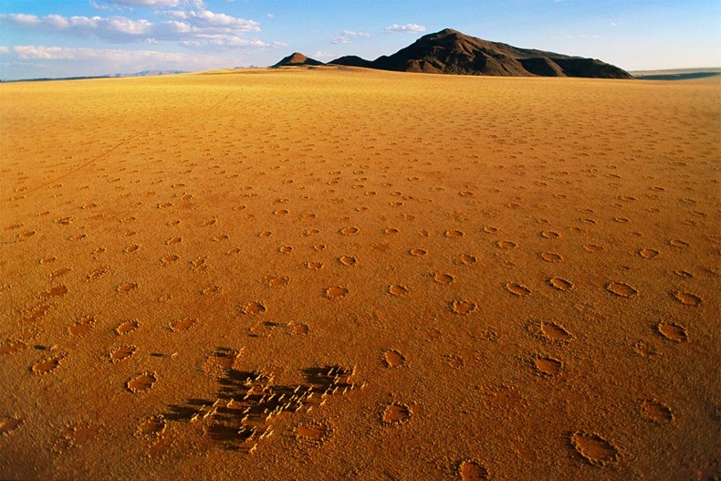 fairy-circles-11