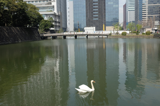 Tokyo imperial palace Japan