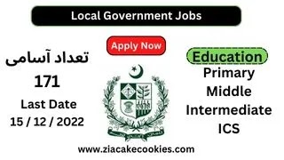 Local Government jobs