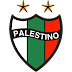 Club Deportivo Palestino 2019 - Effectif actuel