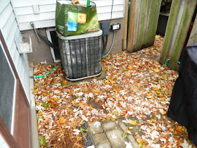 Coxwell Danforth Back Garden Fall Cleanup Before by Paul Jung Gardening Services--a Toronto Gardening Services Company