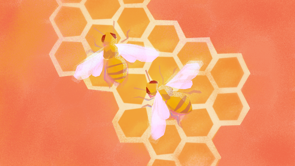 beautiful place preview of honeybees on honeycomb