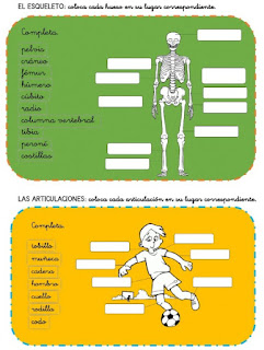 https://es.liveworksheets.com/zr248158hn