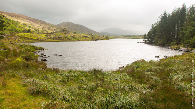 Looscaunagh Anillo de Kerry Irlanda