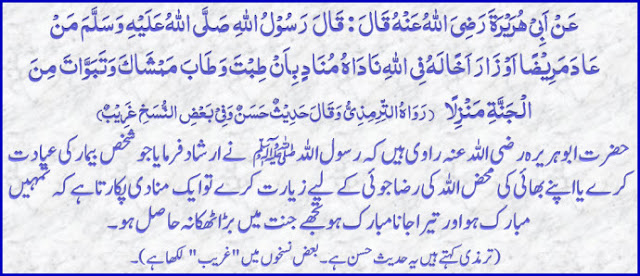 Daily Quran And Hadith