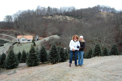 The guest house/cabin is in the upper right hand corner