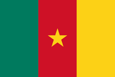 Cameroon flag and foods of Cameroon