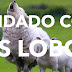 Cuidado com os lobos