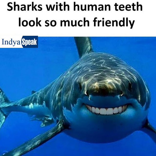 Sharks With Human Teeth Look So Much Friendly