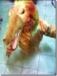 DSC01337