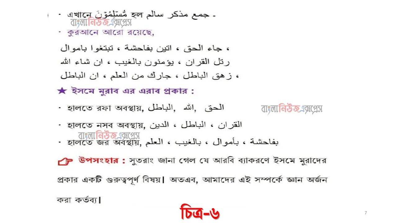 আলিম ২০২২ পরীক্ষার্থীদের ৭ম সপ্তাহের এ্যাসাইনমেন্ট আরবি ২য় পত্র উত্তর https://www.banglanewsexpress.com/