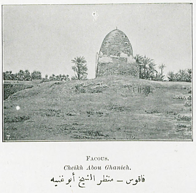 فاقوس - منظر الشيخ أبو غنيه