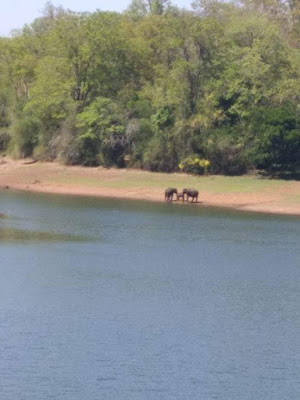 Parambikulam, Thunakkadavu tour information, my favourite tourist spot, nature stay in tamilnadu, tree top Hut stay in tamilnadu ,tree top personal