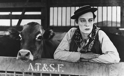 buster keaton cow