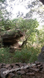 Bhimbetka, The Rock Shelters