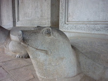 Tortugas del templo de la literatura de Hanoi