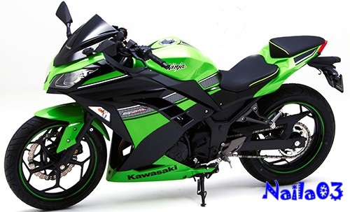 Price Kawasaki Ninja 300cc Newest 2021