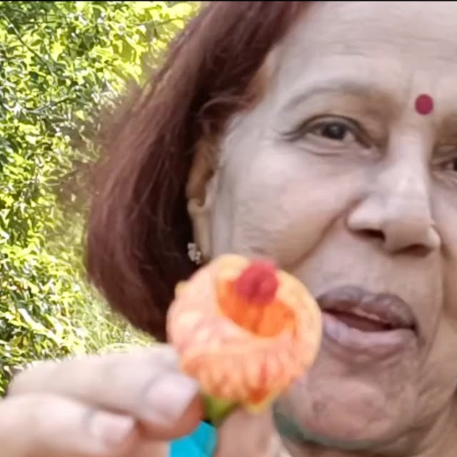 Sawn ka Sunapan