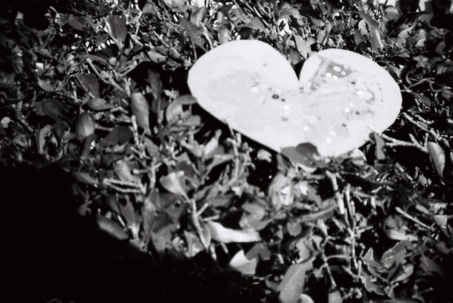black and white photography love heart. I love: these photos!