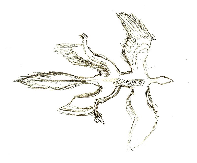 Download Mee-Lin's Art: Microraptor - Chinese prehistoric bird