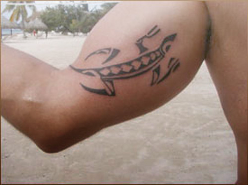 Tribal gecko tattoo designs for men. Tribal gecko tattoo designs for men