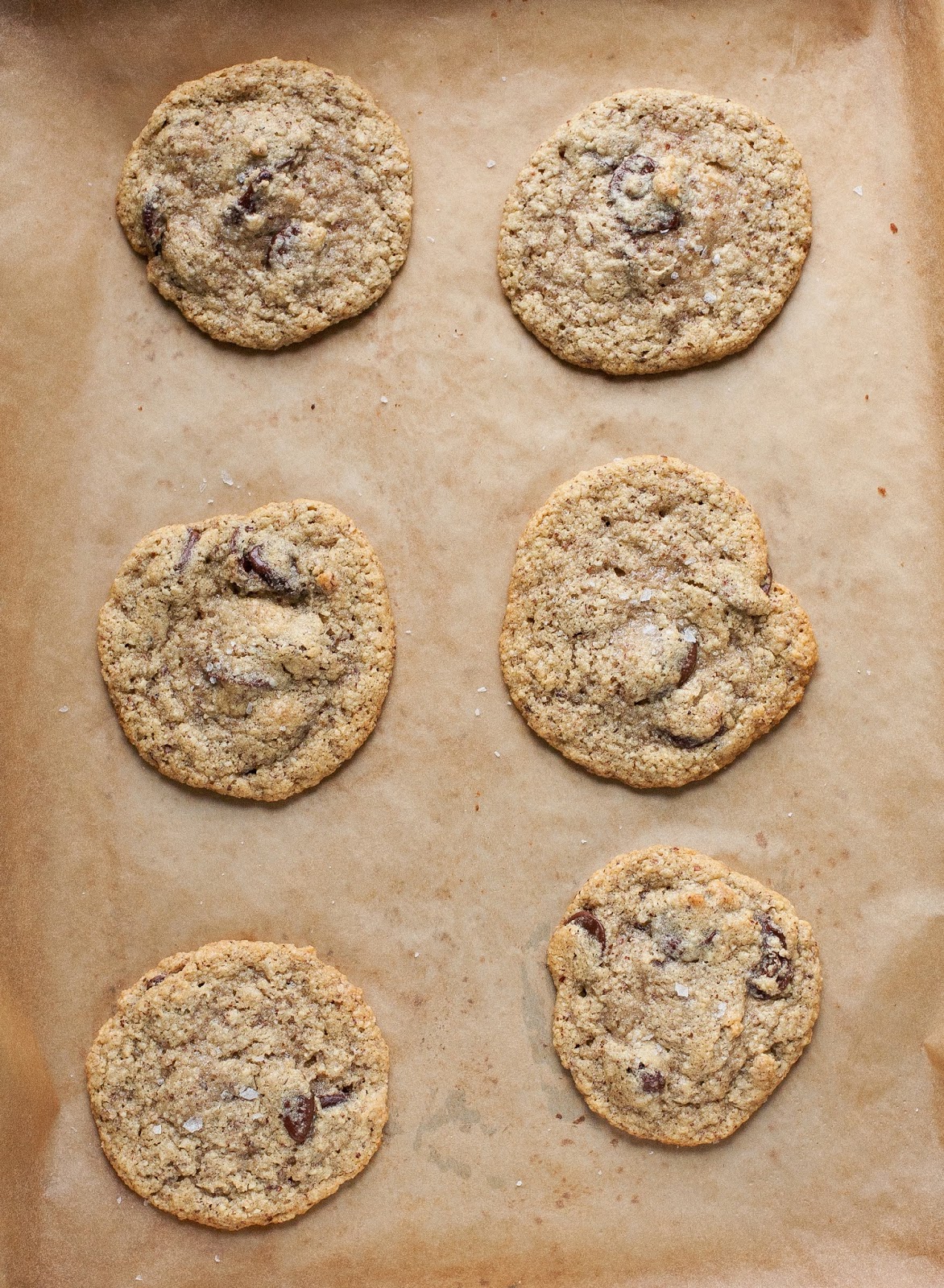 Salted Chocolate Chip Hazelnut Cookies - A Calculated Whisk