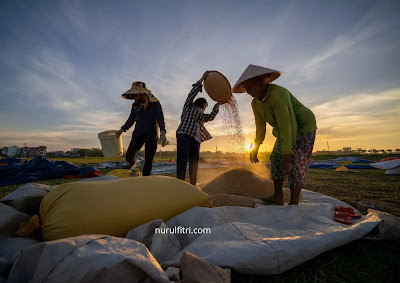 Keutamaan Bekerja Menurut Islam