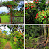 Ο Κήπος του Maui, ένα μαγευτικό νησί