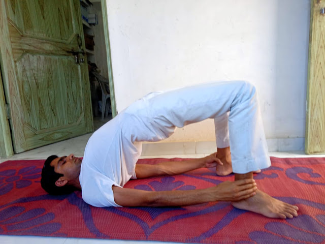 Setu Bandhasana  Bridge Pose  Yoga poses for beginners