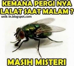 Kumpulan Meme Lucu Terbaru 2015