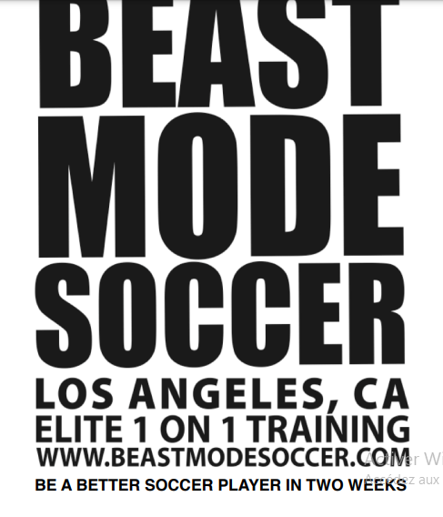 BEAST MODE SOCCER : BE A BETTER SOCCER PLAYER IN TWO WEEKS PDF