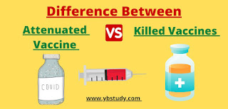 Difference Between Live Attenuated and Killed Vaccines