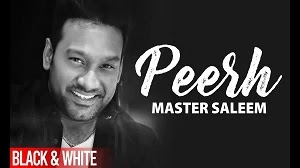 PEERH SONG LYRICS MASTER SALEEM