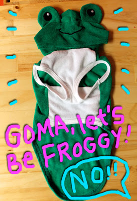 frog-pet-clothing-01