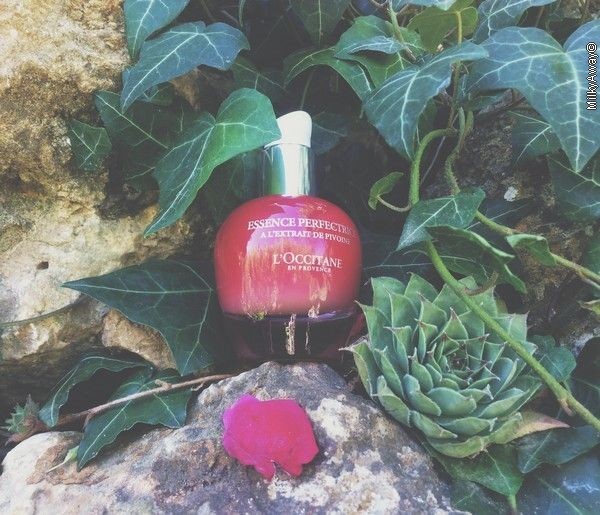 Essence Perfectrice Collection Pivoine L'Occitane en Provence