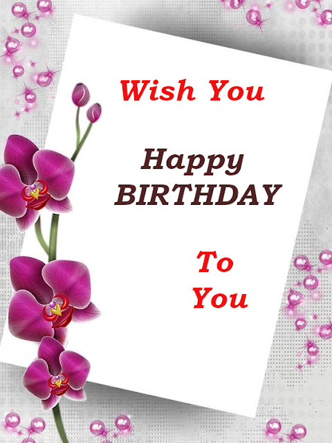 Happy Birthday  Greeting Card