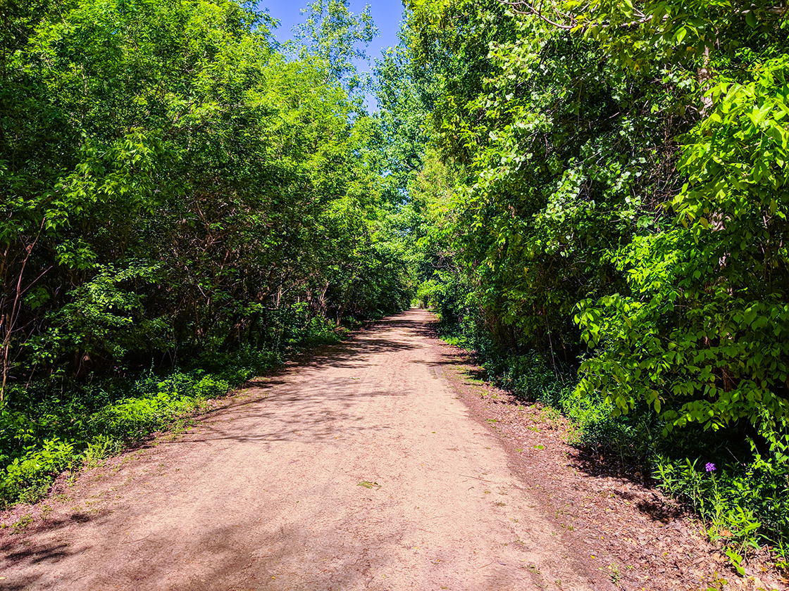 flat and wide crushed stone trail through woods