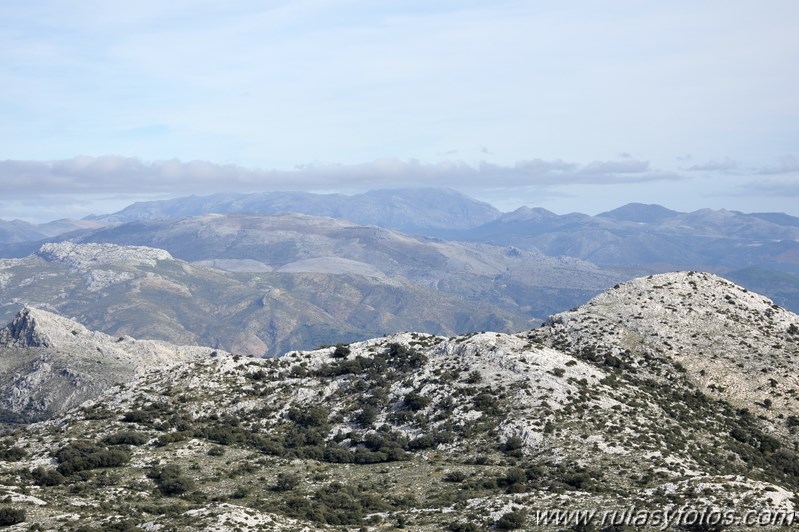 Subida al Pico de los Pinos