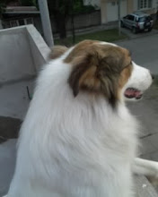 Este es Lucas!