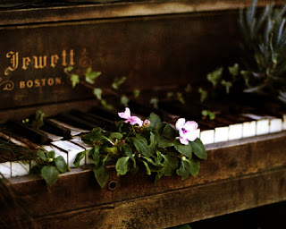 Jewett Boston Vintage Piano Flowers on Keyboard HD Wallpaper