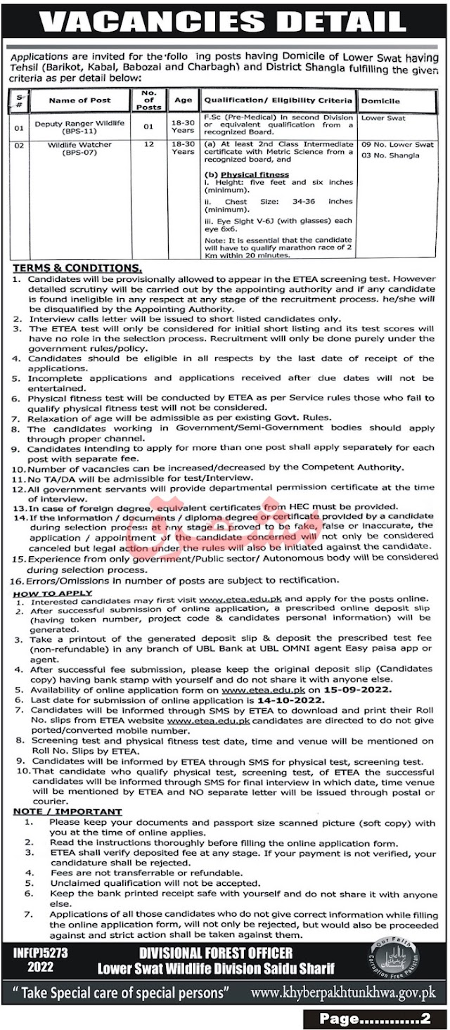 Forest Department Jobs 2022 | Government Jobs in Pakistan 