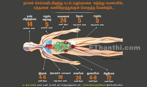 உடல் உறுப்பு தானம் செய்ய யாரை அணுக வேண்டும்?